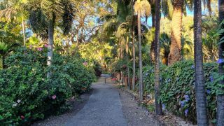2024-01-GranCan-Jardin_de_la_Marquesa-102.jpg